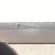 Wooden window repair Lead