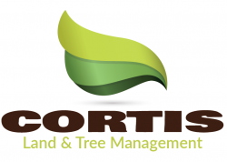CORTIS LAND AND TREE MANAGEMENT logo