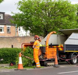 GREEN ACRE TREE SERVICES logo