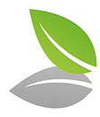 CLEARAWAY SERVICES logo