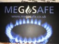 Megasafe logo