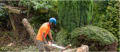 Woodlands Tree Landscape & Garden logo