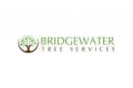 Bridgewater Tree Services logo