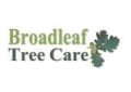 Broadleaf Tree Care logo