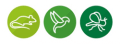 West London Pest Control logo