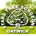 Stars Tree Surgeon - Tree Surgeons in Crawley Logo