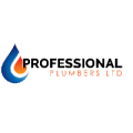 Professional Plumbers logo