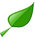 Airic Garden Design logo