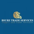 Bsure roofing logo