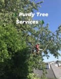 Purdy Tree Services logo
