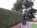 Garden&gutters logo