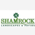 Shamrock Landscapes & Patios Logo