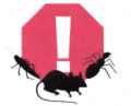 Domain Pest Control Services logo