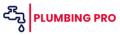 Plumbing Professional logo