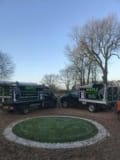 Maple Tree Service and Landscaping logo