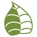 Japanese Knotweed Management logo