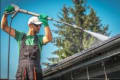 Roof Cleaning & Moss Removal Rochester logo