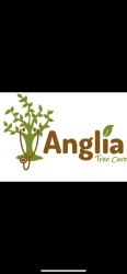 Anglia tree care logo