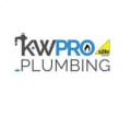 Pro plumbing logo
