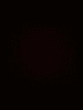 Elite Restoration logo