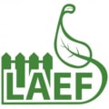 London and Essex Fencing logo