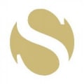 David Salisbury logo
