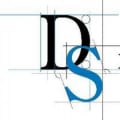 Domestic Surveys logo