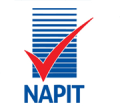 Napit T1 Logo