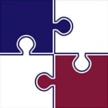 Option Skills logo