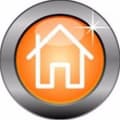 WELLSHINE DOMESTIC CLEANING SERVICES logo