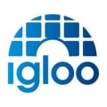 Igloo Environmental logo