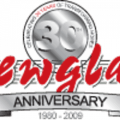 Newglaze Windows logo