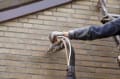 Smart Conservatory Roof Replacement Services logo