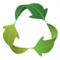 Acorn logo