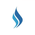 Safgas logo