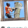 Olivers Tree Services logo