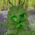 Greenman Solar logo