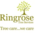 Monroes tree care logo