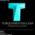 Turquoise Noise logo