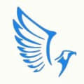 Eagle Plastering logo