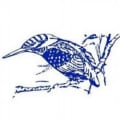 Kingfisher Developments Wales logo