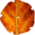 Knighton Countryside Management logo