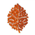 Tree Heritage logo