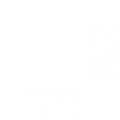 Big City Services logo