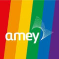 Amey Mechanical & Electrical Services Lt logo
