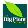 Big Plant Nursery logo