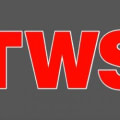 Trade Windows Services logo