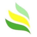 Shire Energy Services logo