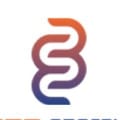 BMM Energy Solutions logo