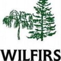 Firbric Wood Engineering logo